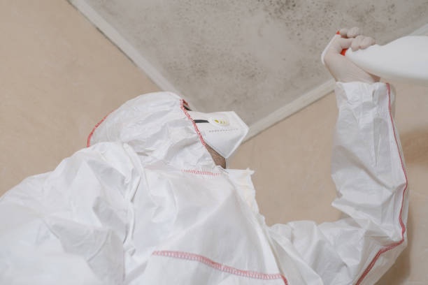 Best Crawl Space Mold Removal  in Bellevue, WI